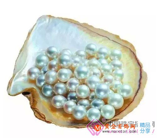 
	珍珠瑯琊榜的9大名單，您當知曉！
