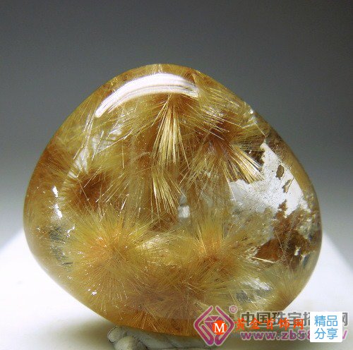 
	帶你認識“兔毛水晶”你猜有長毛嗎？
