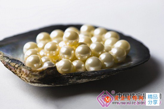 
	“青島大蝦”算什么 活蚌取珍珠你敢來嗎
