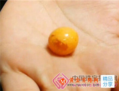 
	棒呆了 椰子螺里吐出10萬紅色“珍珠”

