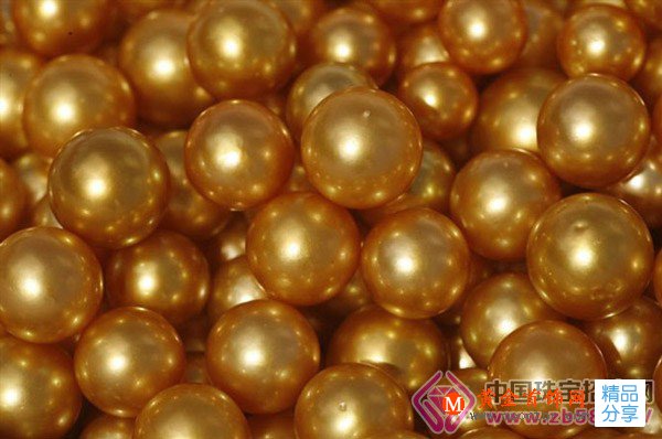 
	“珍珠之寶” －金珠
