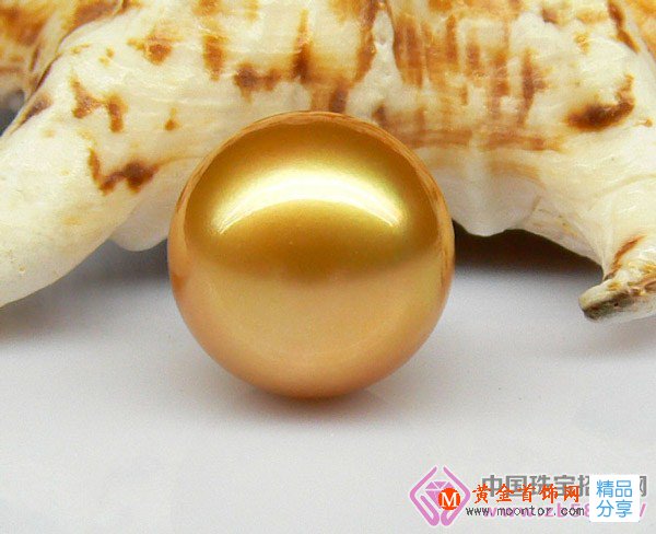 
	“珍珠之寶” －金珠
