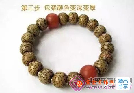 
	星月菩提盤玩的8個階段，別急，該來總會來！
