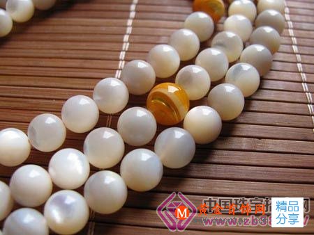 
	硨磲之魅 溫婉如玉
