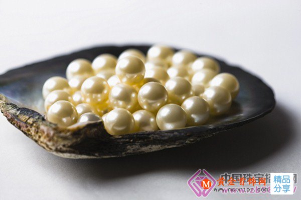 
	優美純凈 極簡珍珠飾品氣質滿滿
