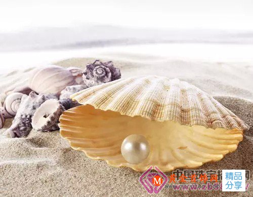 
	海水珍珠為什么比淡水珍珠價值高？
