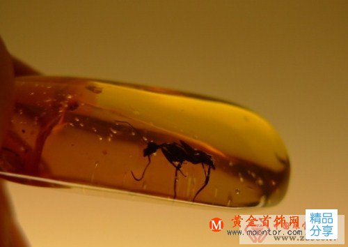 
	如何鑒別蟲珀的真假
