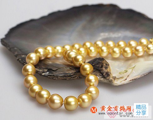 
	淡水珍珠和海水珍珠哪個好
