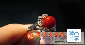 
	酸——紅珊瑚的大敵
