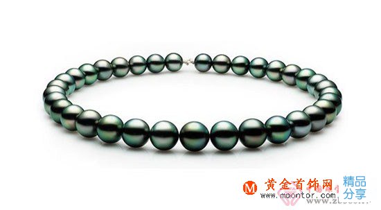 
	黑珍珠哪里多？

