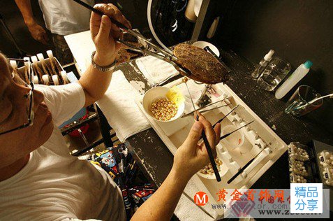 
	打開菲律賓黃金珍珠養殖過程
