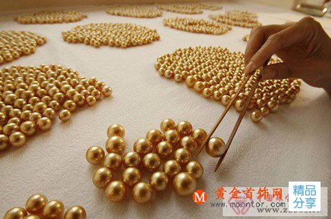 
	打開菲律賓黃金珍珠養殖過程

