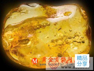 
	琥珀蜜蠟為佛教七寶 顏色賞心悅目且不張揚
