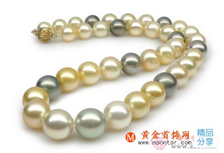 
	南洋珍珠介紹
