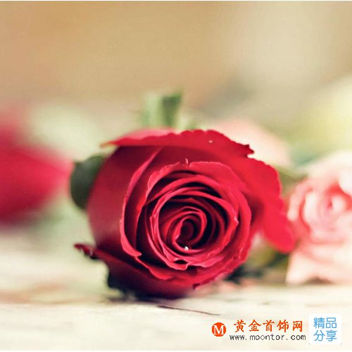 
	百善孝為先，感恩節送父母什么禮物好

