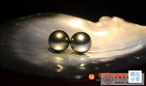 
	黑珍珠什么顏色好
