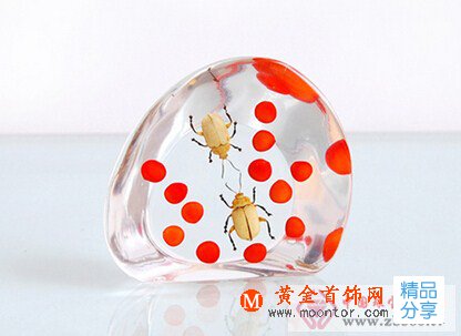 
	琥珀和樹脂如何區分開來
