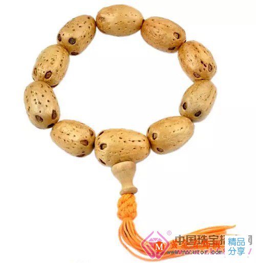 
	菩提子橫切面
