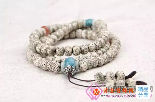 
	菩提子橫切面
