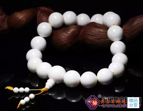 
	硨磲是延年益壽的常青樹，有這么多神奇之處！
