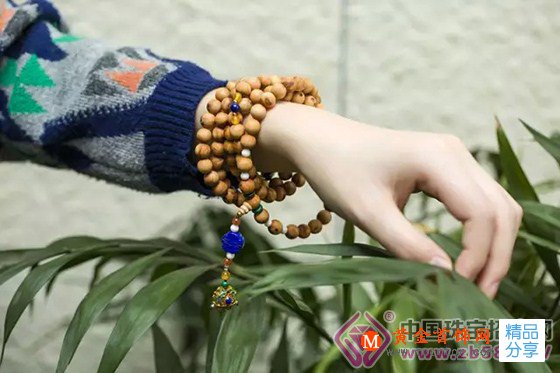 
	瀕臨絕種的萬壽之木, 崖柏為什么這么火！
