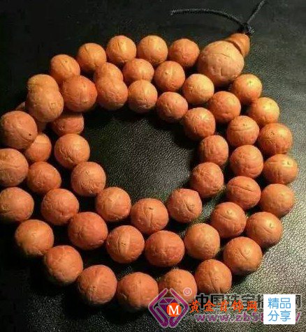 
	鳳眼菩提的選擇誤區都你知道嗎？
