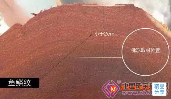 
	關于小葉紫檀上的“魚鱗紋”，你知道多少？
