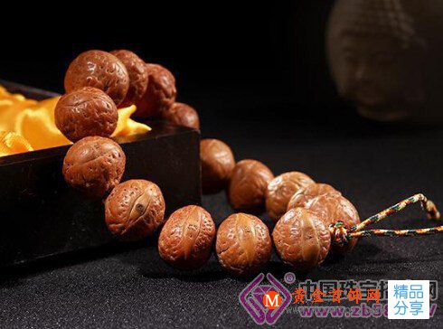 
	揭秘鳳眼菩提七大黑幕，要小心了！
