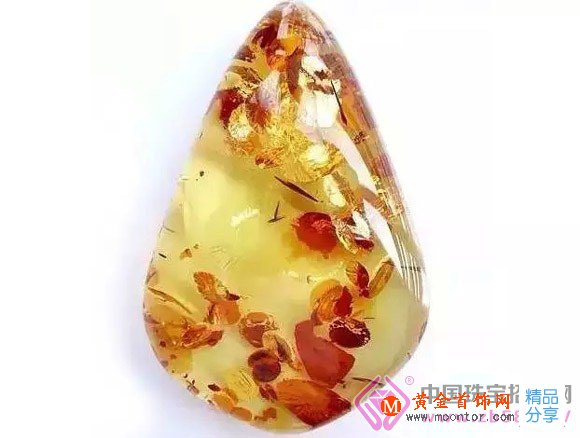 
	琥珀——時光的蜜糖
