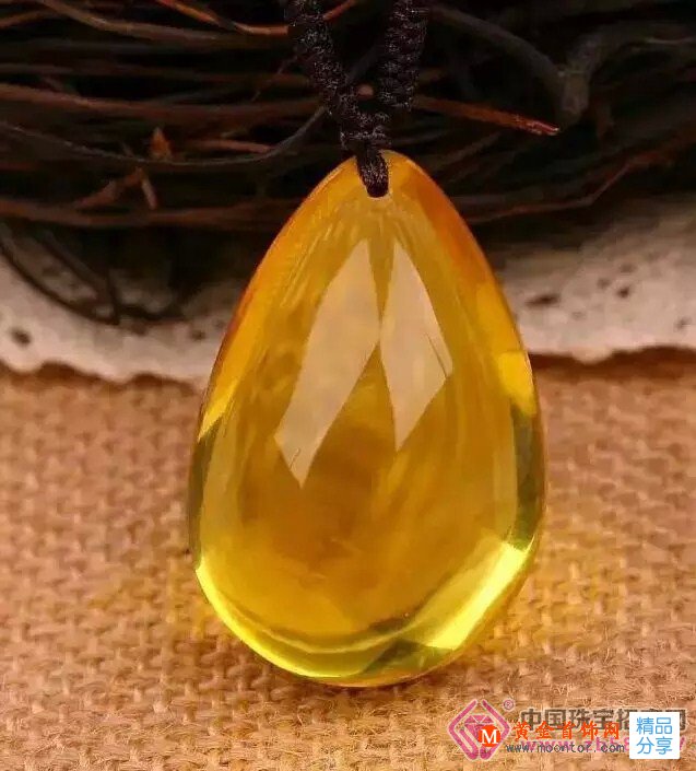 
	琥珀——時光的蜜糖
