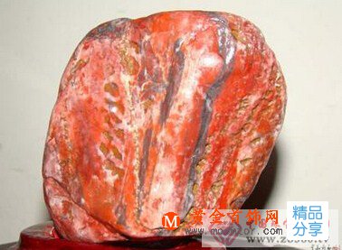 
	紅珊瑚化石是怎么形成的

