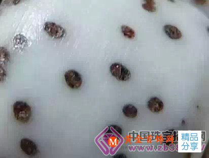 
	最當紅文玩時尚：星月菩提手串全攻略
