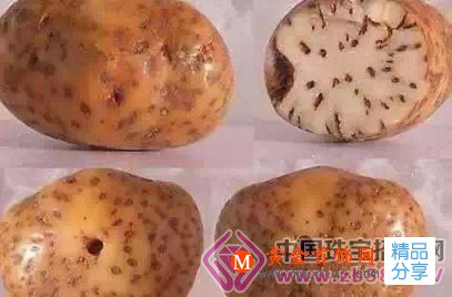
	最當紅文玩時尚：星月菩提手串全攻略
