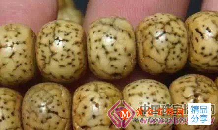 
	最當紅文玩時尚：星月菩提手串全攻略
