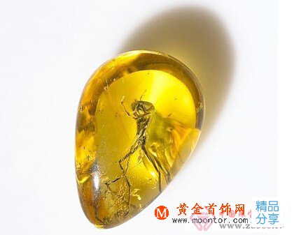 
	琥珀有什么功效
