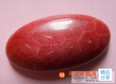 
	仿制珊瑚的種類及特征

