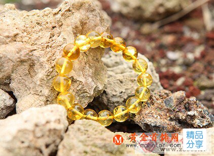 
	不同產地琥珀的比較
