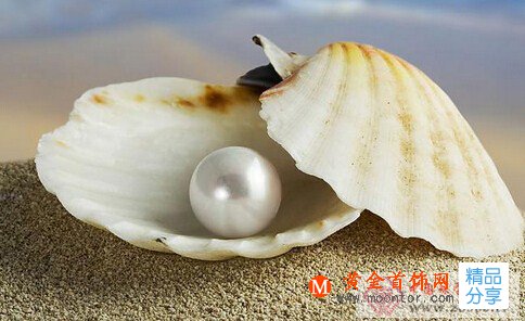 
	詳述淡水珍珠與海水珍珠的不同
