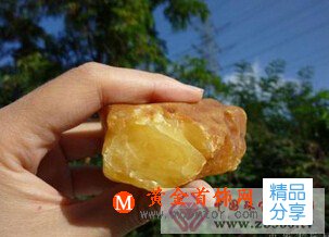 
	蜜蠟原石挑選
