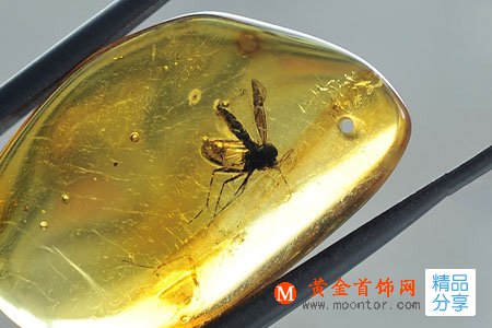 
	琥珀手鏈的真假鑒別方法
