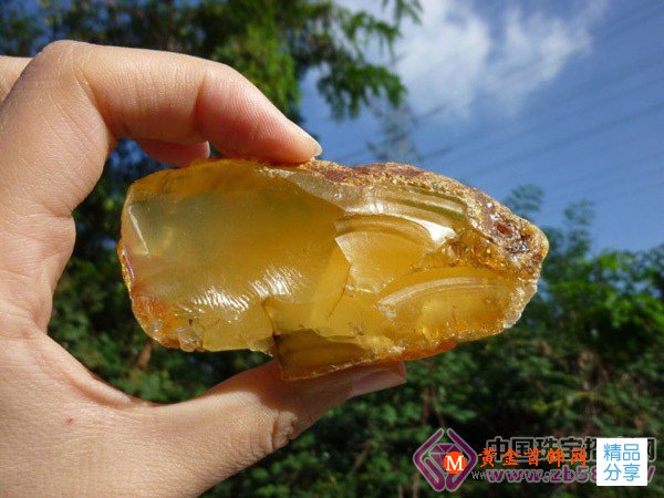 
	蜜蠟原石——其實還沒有開采完
