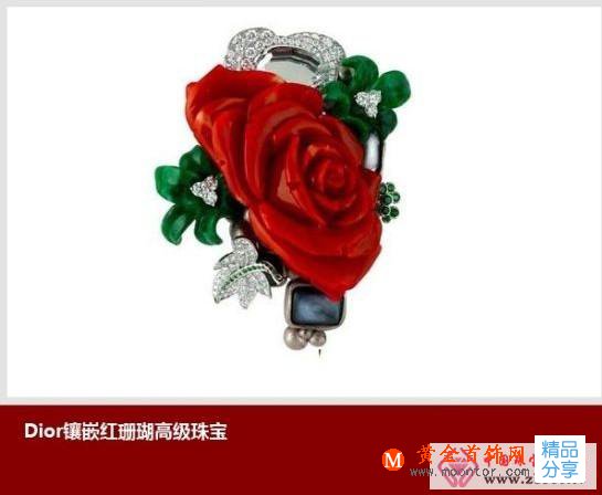 
	至美珊瑚之謎 修身養性的海洋之晶(圖)
