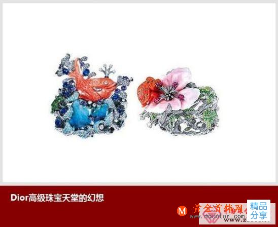 
	至美珊瑚之謎 修身養性的海洋之晶(圖)
