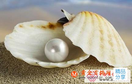 
	中國最大的海水珍珠
