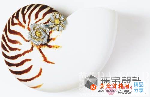 
	以 橄欖石為原材料的珠寶帶您暢游海底世界
