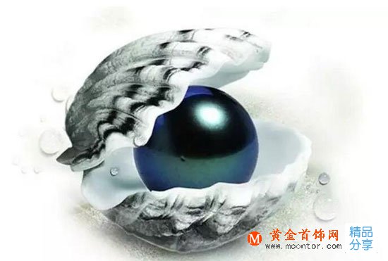 
	黑珍珠和白珍珠哪個好？
