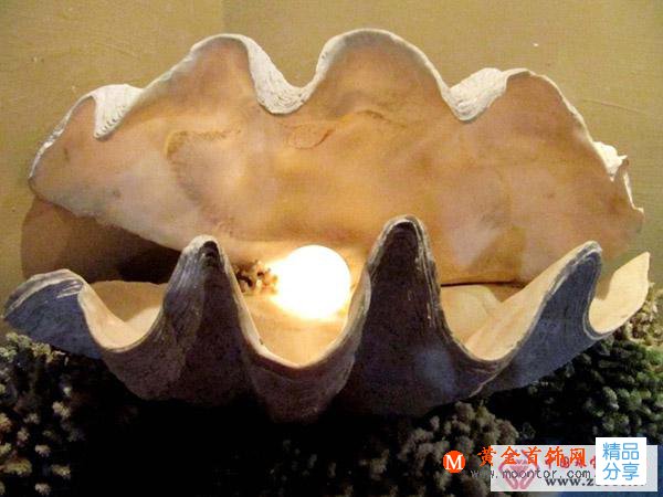 
	怎樣區分天然珍珠與人工養殖珍珠
