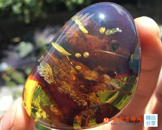 
	會蒸發的水膽琥珀，你知道多少？
