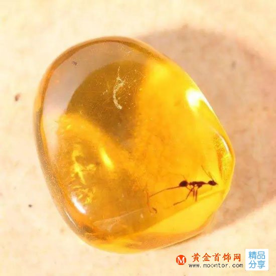 
	你對蜜蠟的所有疑問都在這了
