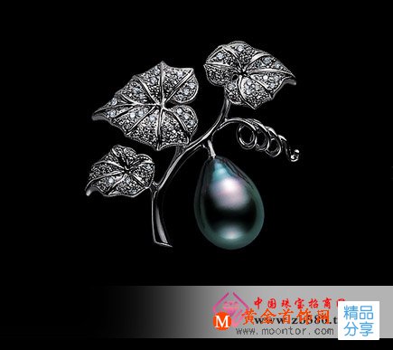 
	黑珍珠的神話傳說
